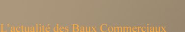 Baux Commerciaux